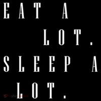Eat A Lot Sleep A Lot Ornament thumb 1
