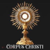 Eucharistic Adoration Traditional Latin Mass Catholic Tote Bag thumb 4
