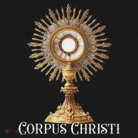 Eucharistic Adoration Traditional Latin Mass Catholic Toddler T-Shirt thumb 4