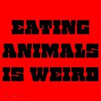 Eating Animals Is Weird Vegan Vegetarian Funny Parody Santa Hat thumb 1