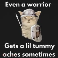 Even A Warrior Gets A Lil Tummy Aches Sometimes Doggie Tank thumb 4