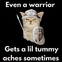Even A Warrior Gets A Lil Tummy Aches Sometimes Women's Tank Top thumb 5