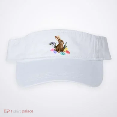 Visor