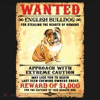 English Bulldog Funny Dog Lover Gifts Women's Tank Top thumb 5