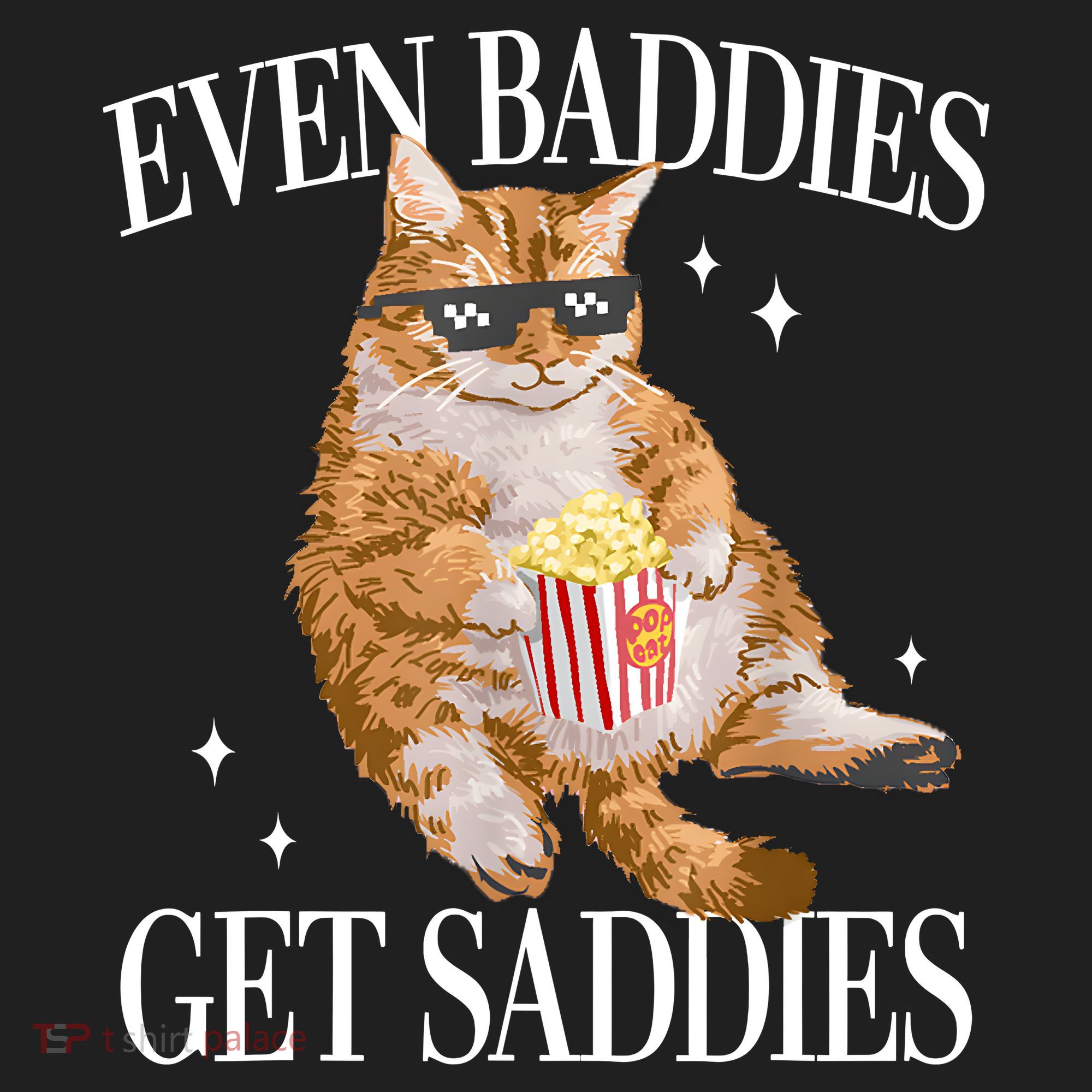 Even Baddies Get Saddies Funny Cat Meme Beanie