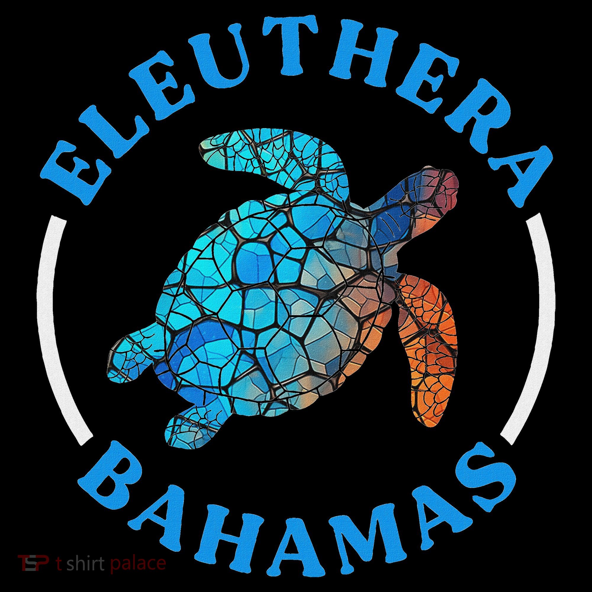 Eleuthera Bahamas Vacation Sea Turtle Souvenir Women's Hoodie