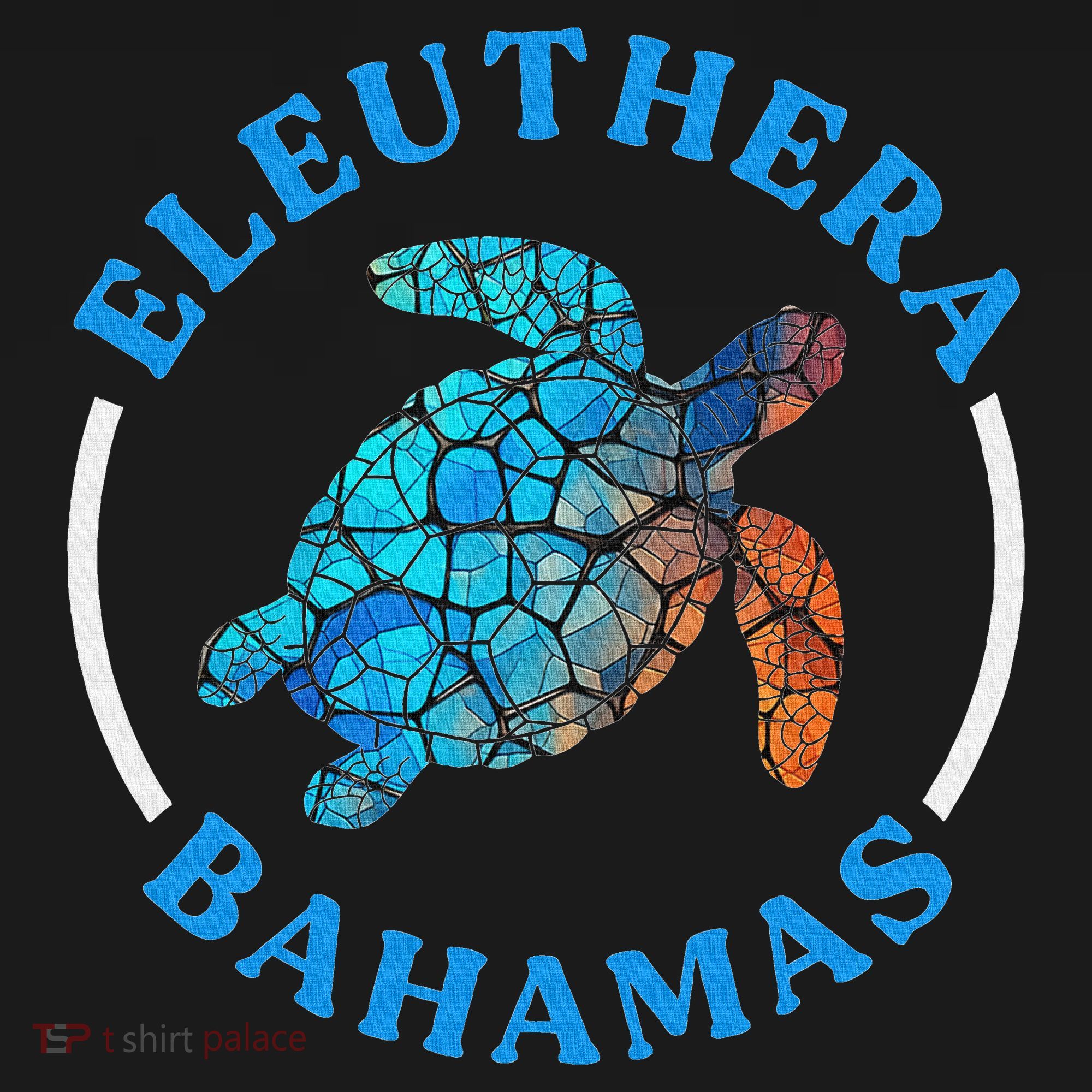 Eleuthera Bahamas Vacation Sea Turtle Souvenir Women's Tank Top