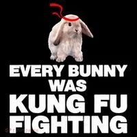Every Bunny Was Kung Fu Fighting Funny Easter Rabbit Coffee Mug thumb 5