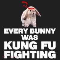 Every Bunny Was Kung Fu Fighting Funny Easter Rabbit Hat thumb 2