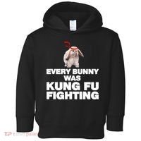 Every Bunny Was Kung Fu Fighting Funny Easter Rabbit Toddler Hoodie thumb 0