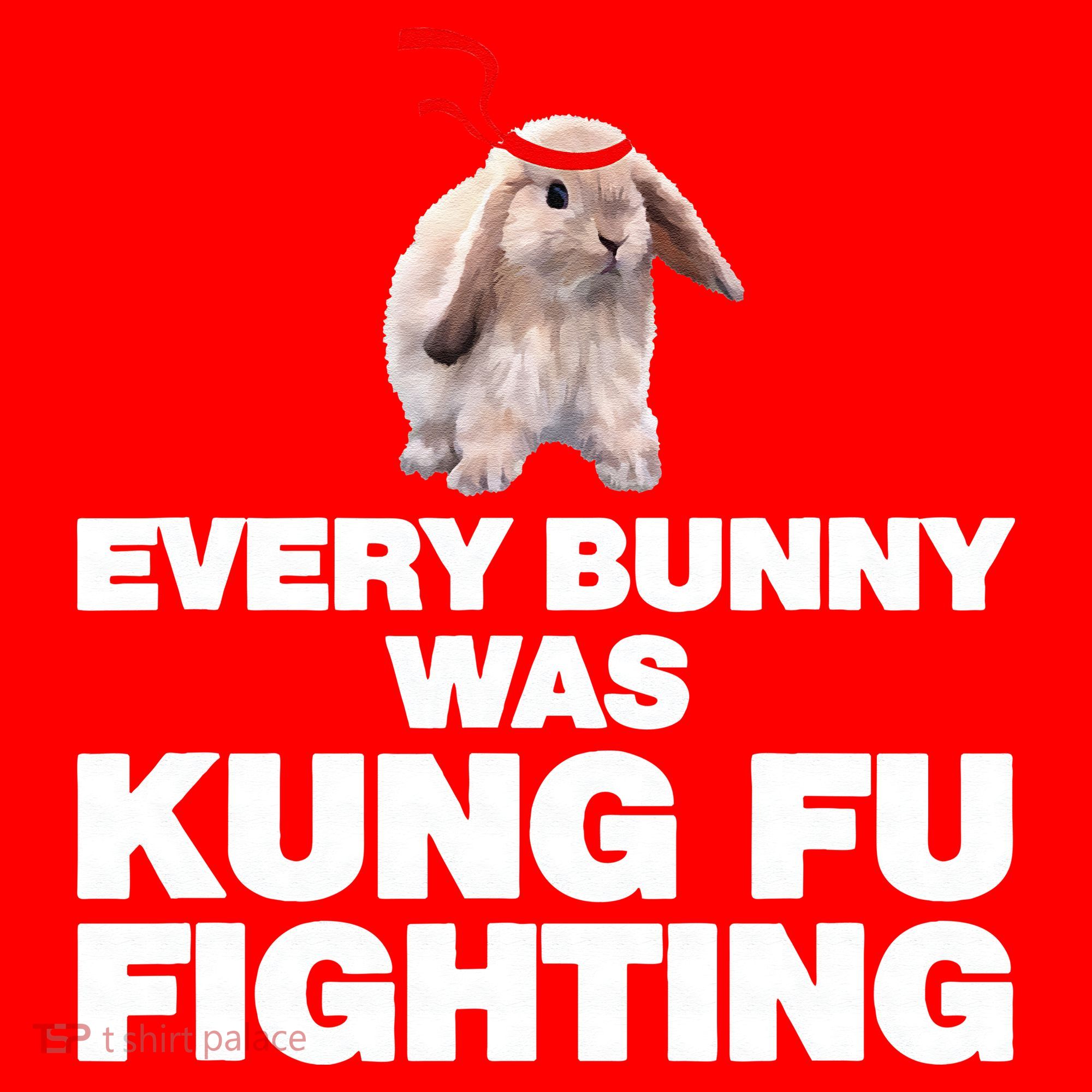 Every Bunny Was Kung Fu Fighting Funny Easter Rabbit Santa Hat