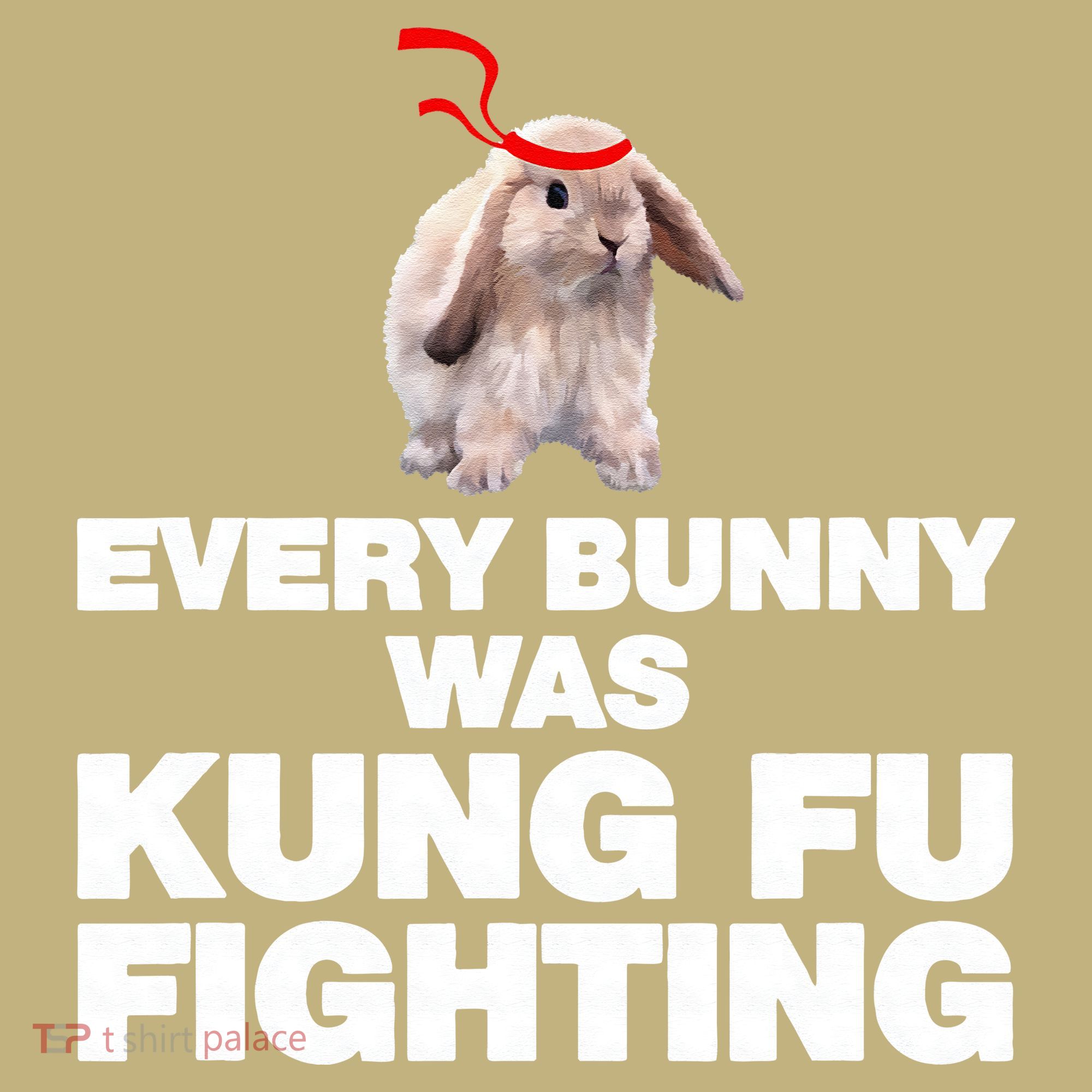 Every Bunny Was Kung Fu Fighting Funny Easter Rabbit Hoodie