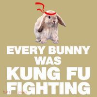 Every Bunny Was Kung Fu Fighting Funny Easter Rabbit Polo thumb 2