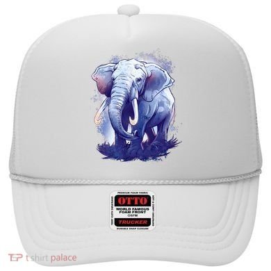 Elephant Colorful Art Hat