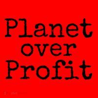 Earth Conservation Anti Capitalism Quote Planet Over Profit Gift Santa Hat thumb 1