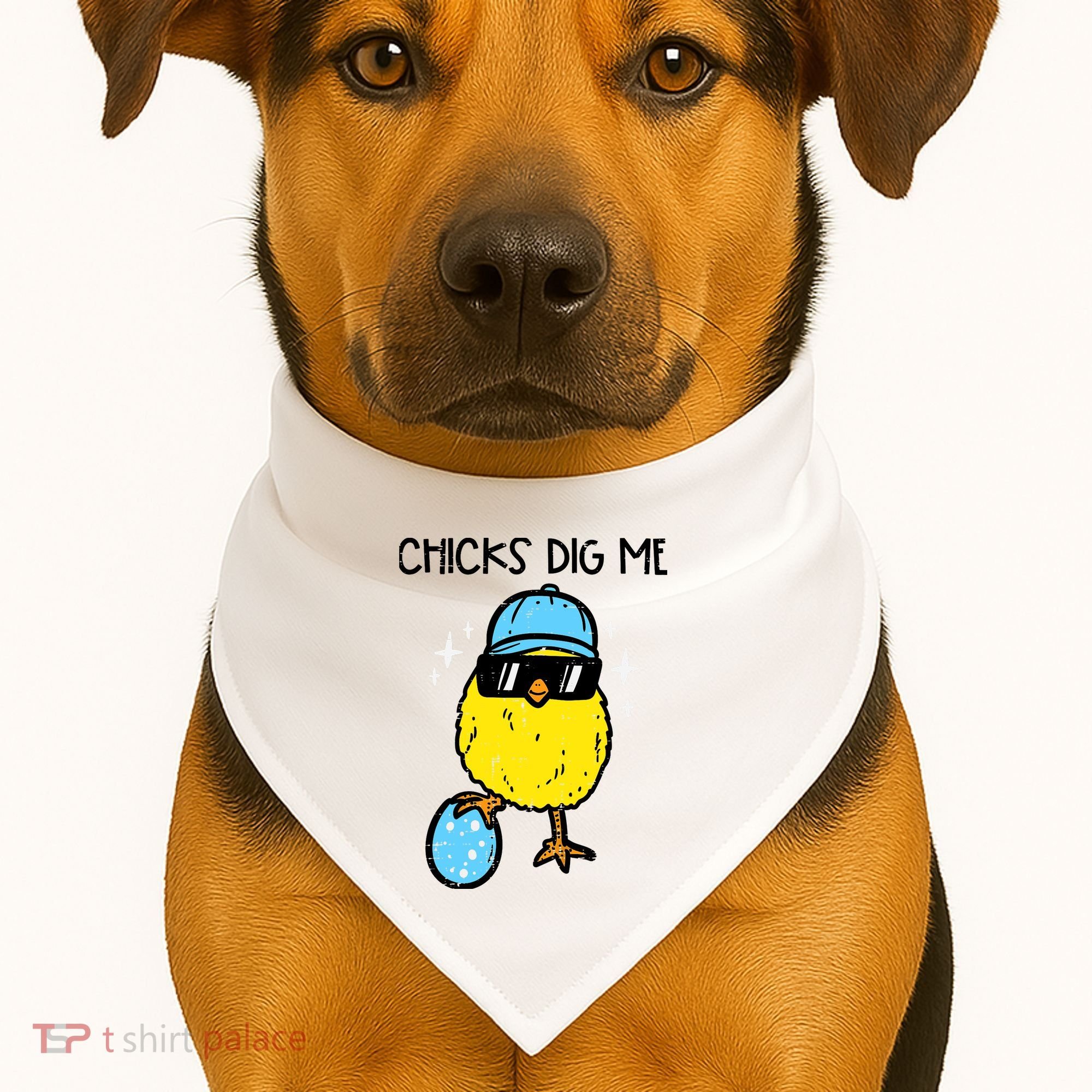 Easter Chicks Dig Me Cute Boy Teens USA-Made Doggie Bandana