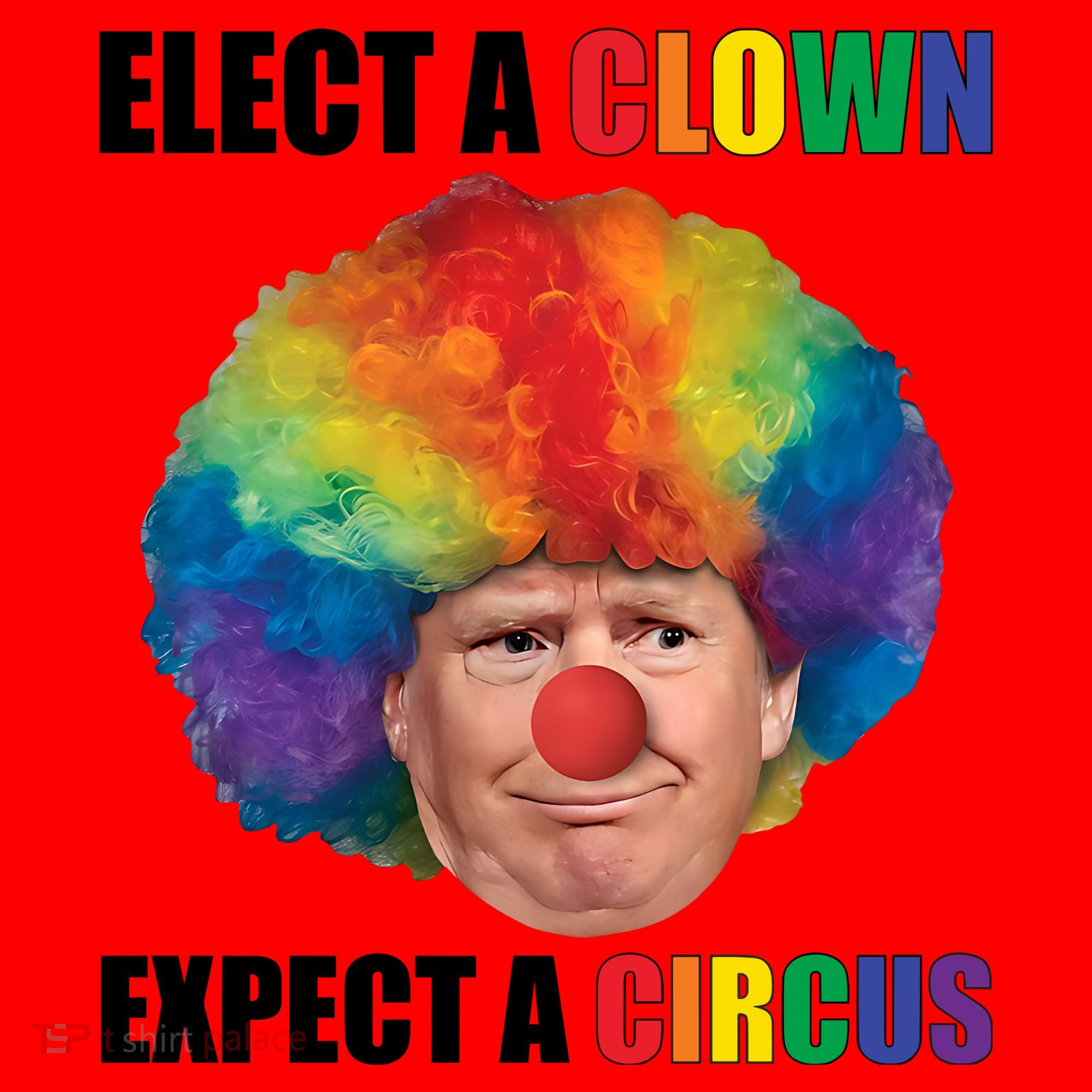 Elect Clown Expect A Circus Anti Trump Santa Hat