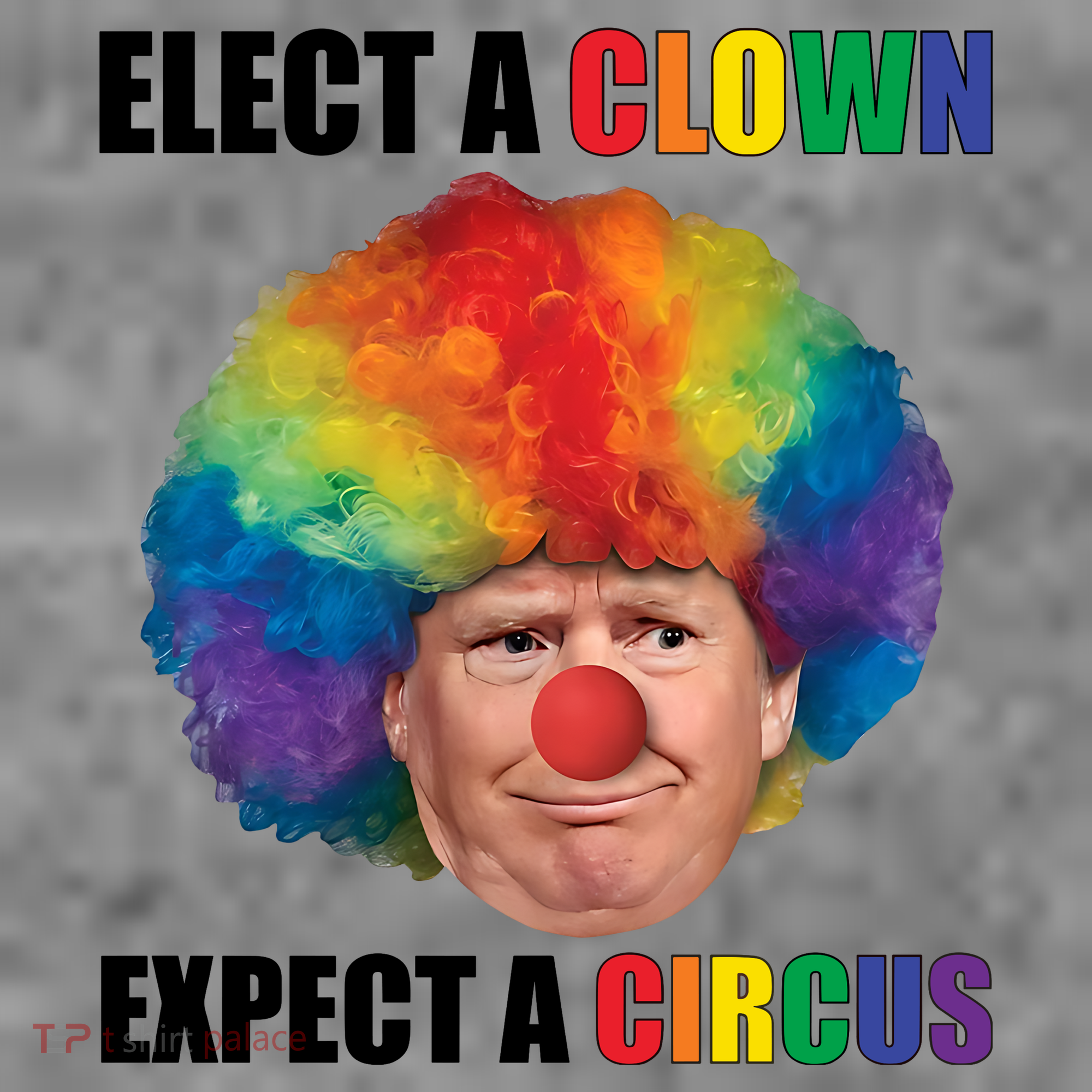 Elect Clown Expect A Circus Anti Trump Toddler Hoodie