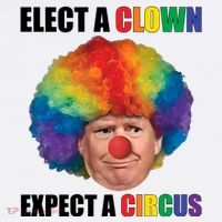 Elect Clown Expect A Circus Anti Trump Hoodie thumb 7