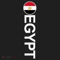Egypt Country Flag Vertical Women's Sweatshirt thumb 2