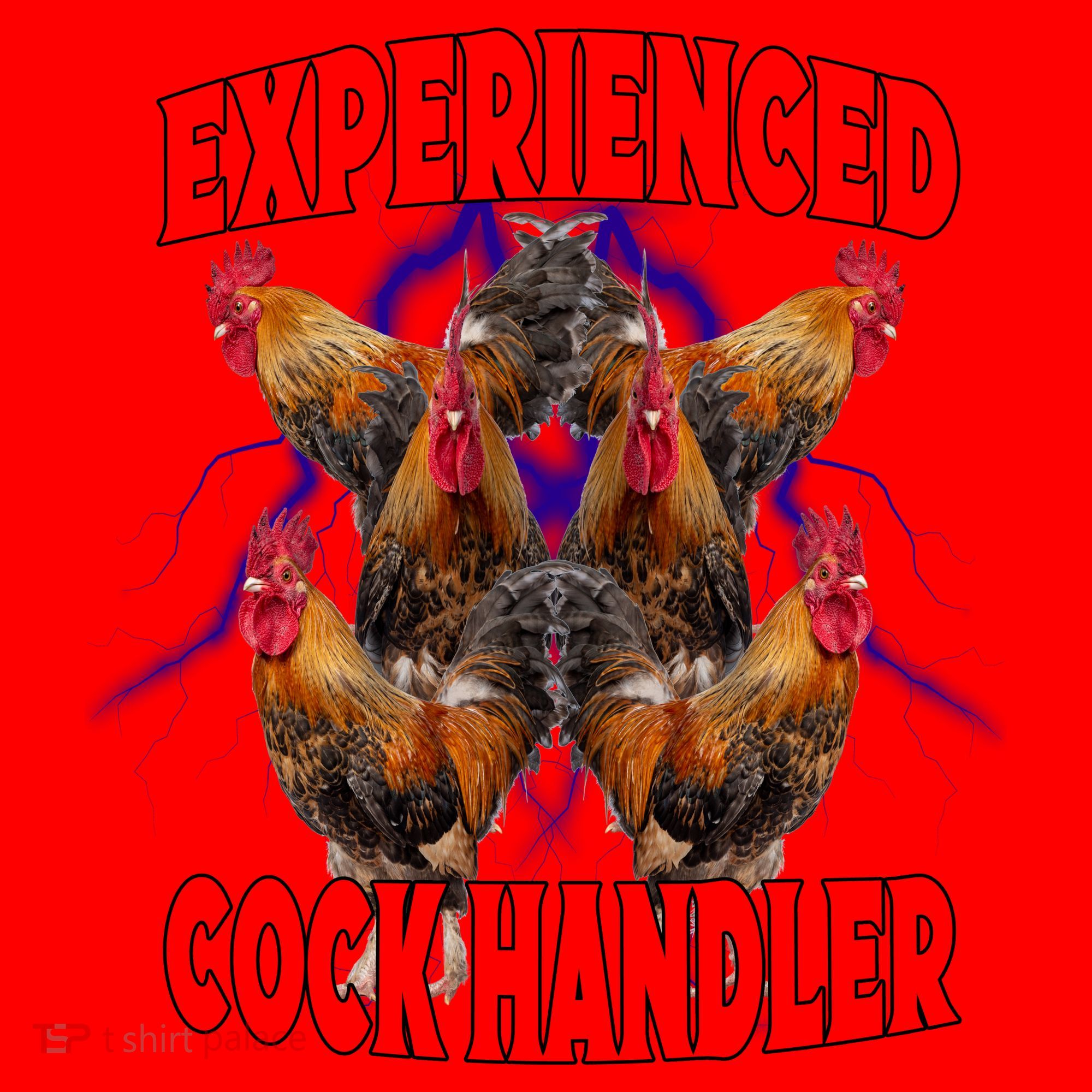 Experienced Cock Handler Fighter Funny Santa Hat