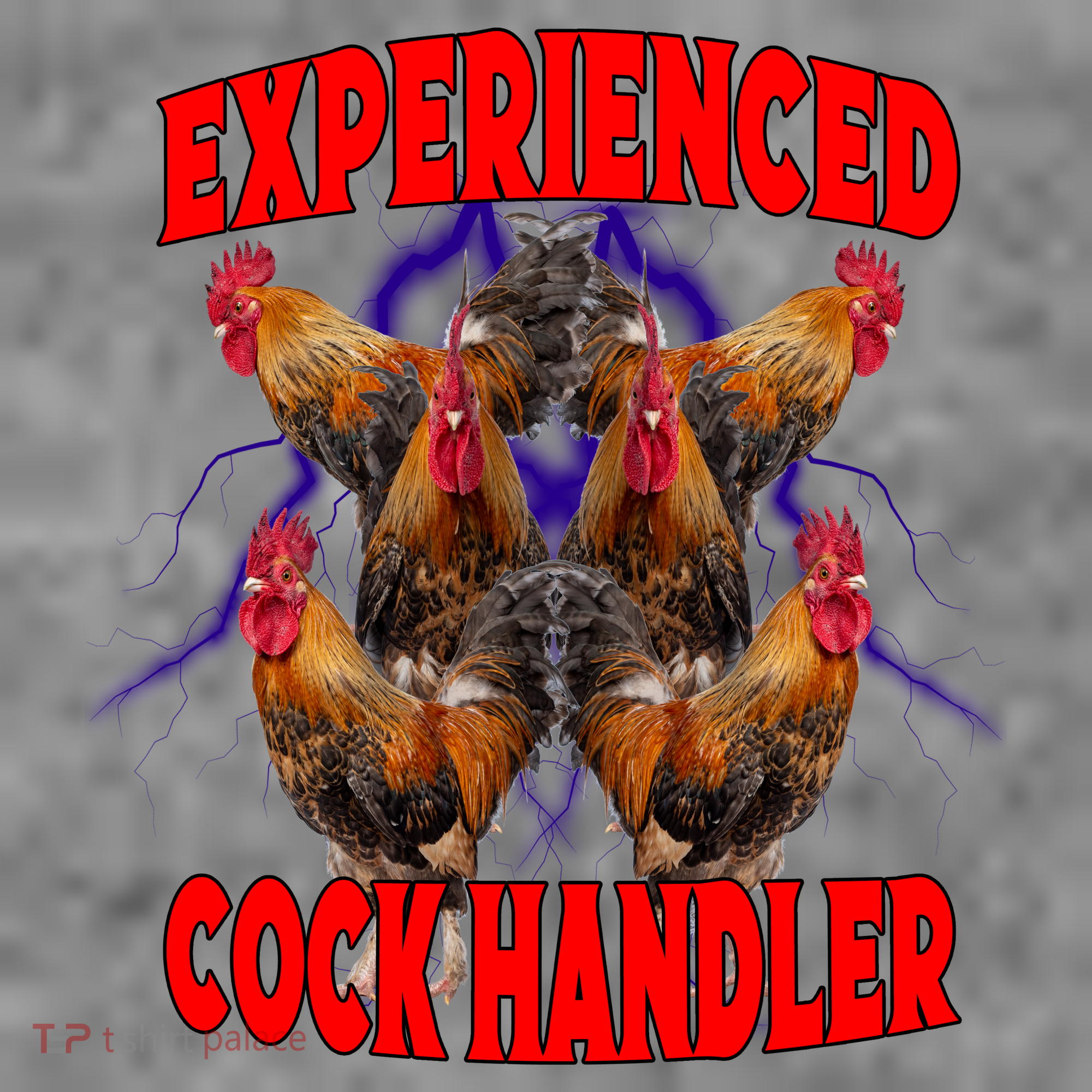 Experienced Cock Handler Fighter Funny Women's T-Shirt