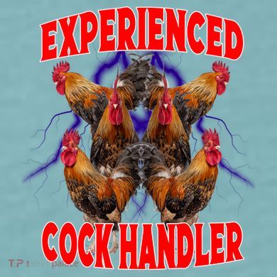Experienced Cock Handler Fighter Funny Sueded Cloud Jersey T-Shirt
