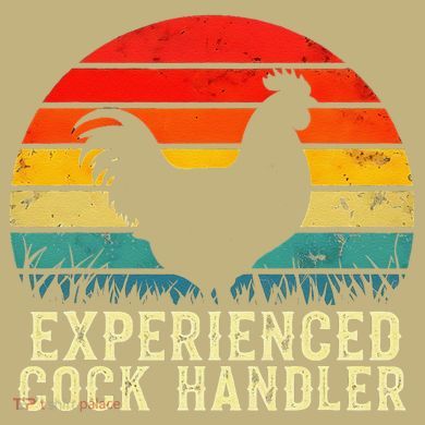 Experienced Cock Handler Funny Inappropriate Vintage Retro Magnet