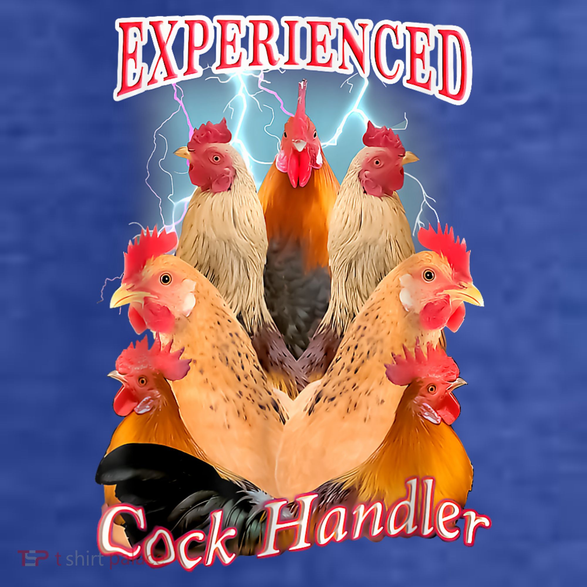 Experienced Cock Handler Women's Hoodie