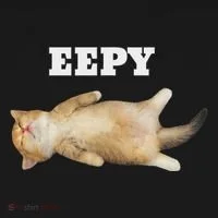 Eepy Cat Sleepy Cat Meme Women's Hoodie thumb 2