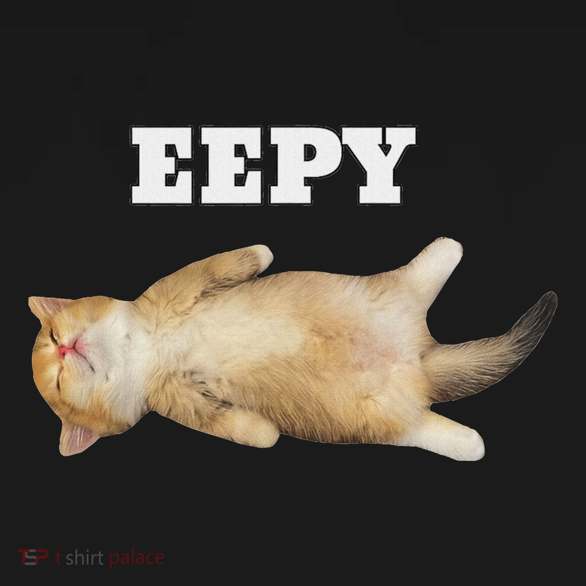 Eepy Cat Sleepy Cat Meme Women's Hoodie
