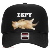 Eepy Cat Sleepy Cat Meme Hat thumb 0
