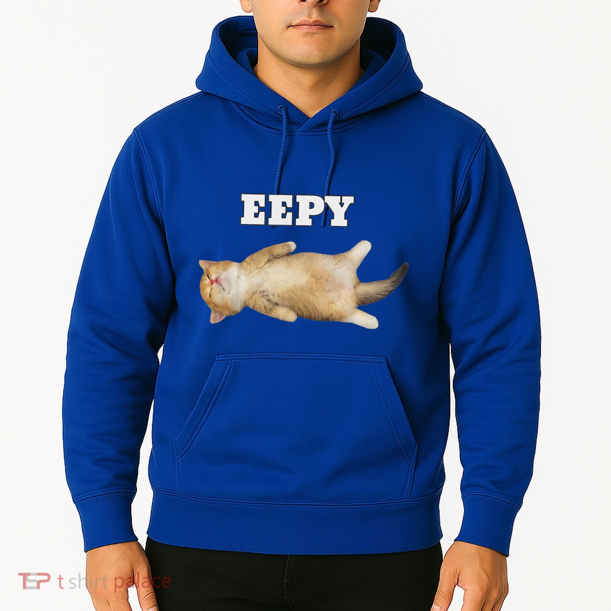 Eepy Cat Sleepy Cat Meme Hoodie