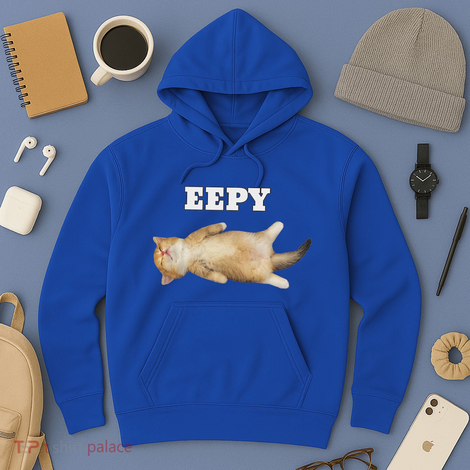 Eepy Cat Sleepy Cat Meme Hoodie