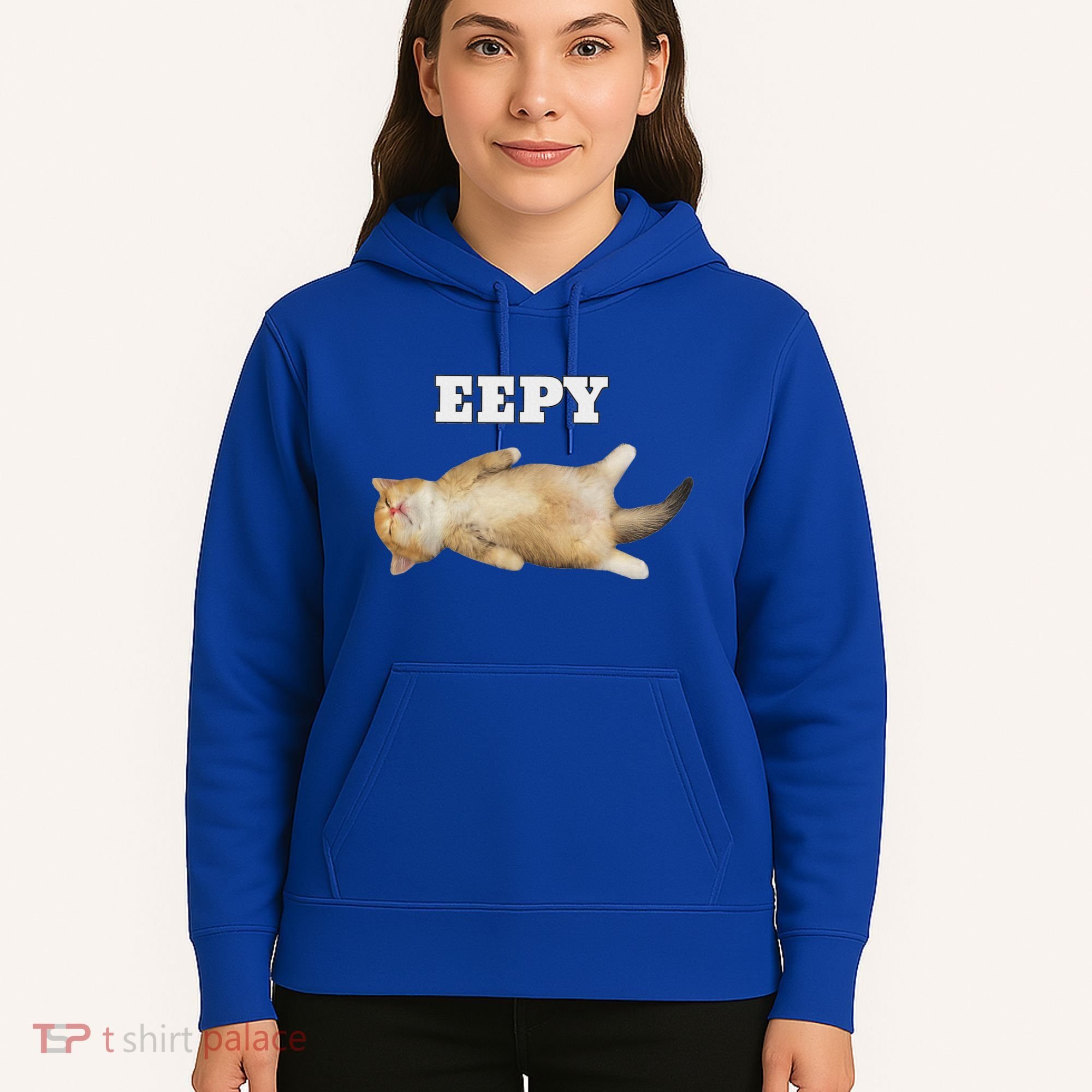 Eepy Cat Sleepy Cat Meme Hoodie