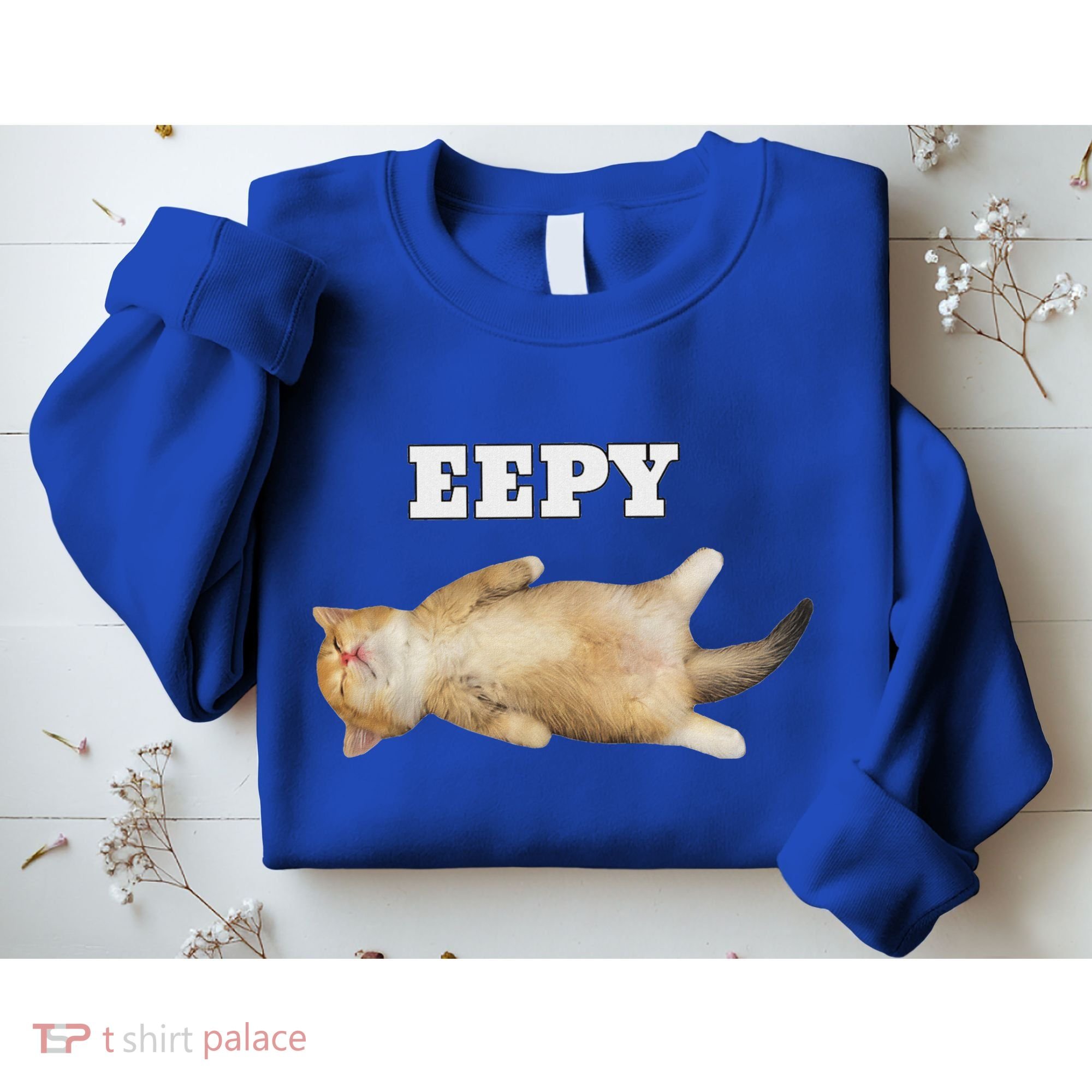 Eepy Cat Sleepy Cat Meme Sweatshirt