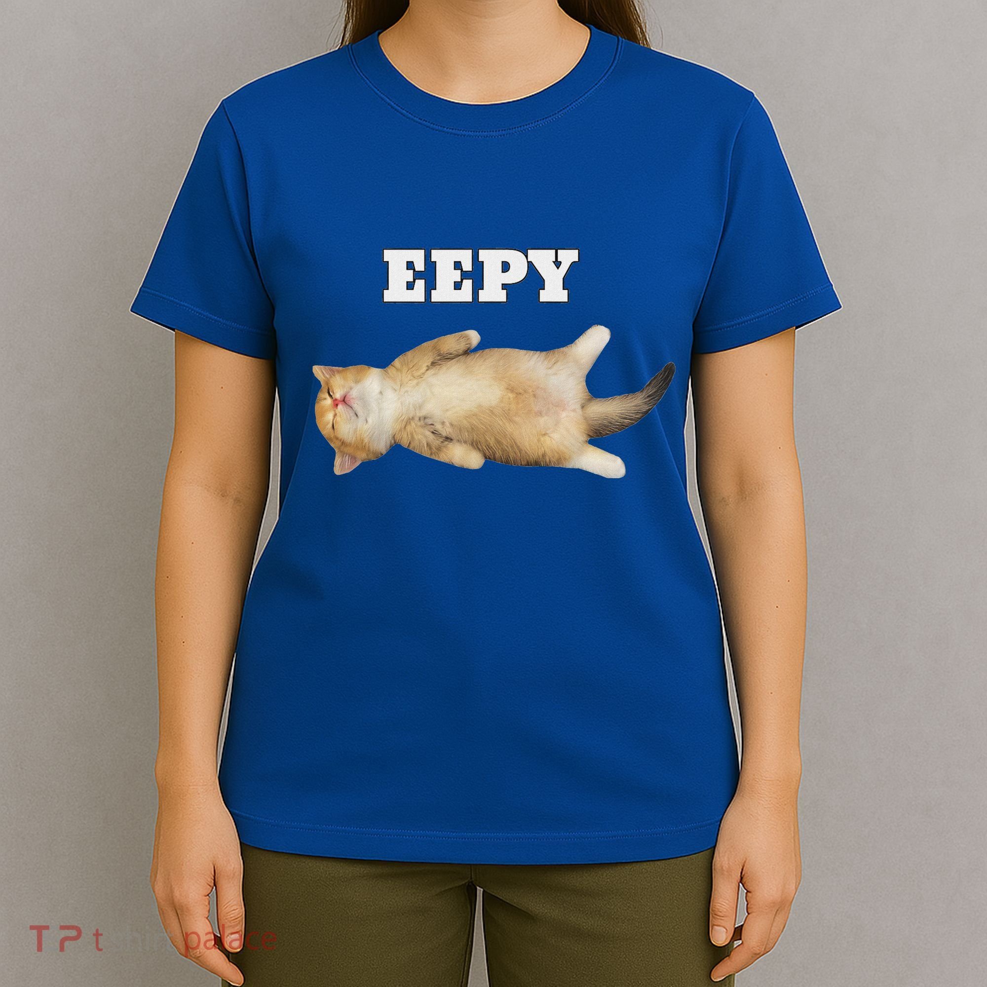Eepy Cat Sleepy Cat Meme T-Shirt