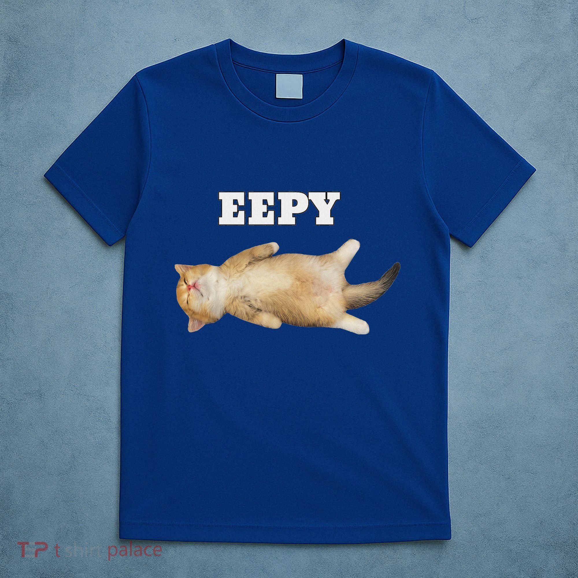 Eepy Cat Sleepy Cat Meme T-Shirt