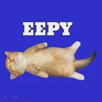 Eepy Cat Sleepy Cat Meme Women's Long Sleeve Shirt thumb 2