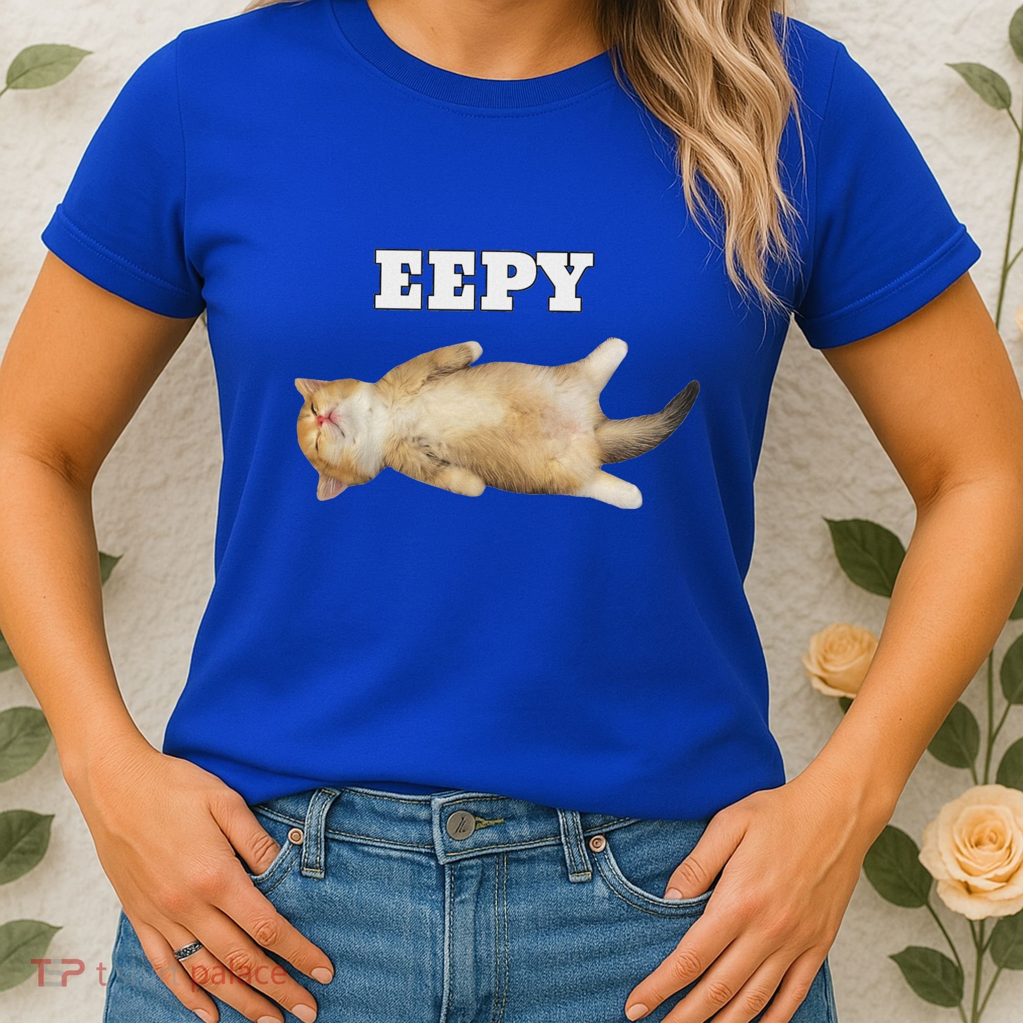 Eepy Cat Sleepy Cat Meme Women's T-Shirt