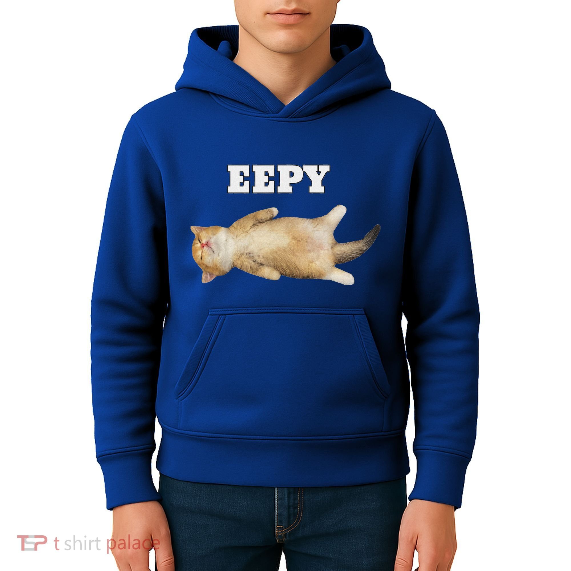 Eepy Cat Sleepy Cat Meme Kids Hoodie