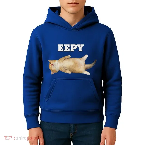 Eepy Cat Sleepy Cat Meme Kids Hoodie