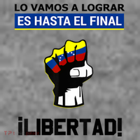 Estoy Con Venezuela Hasta El Final Proud Venezuelan Libre Toddler Hoodie thumb 2