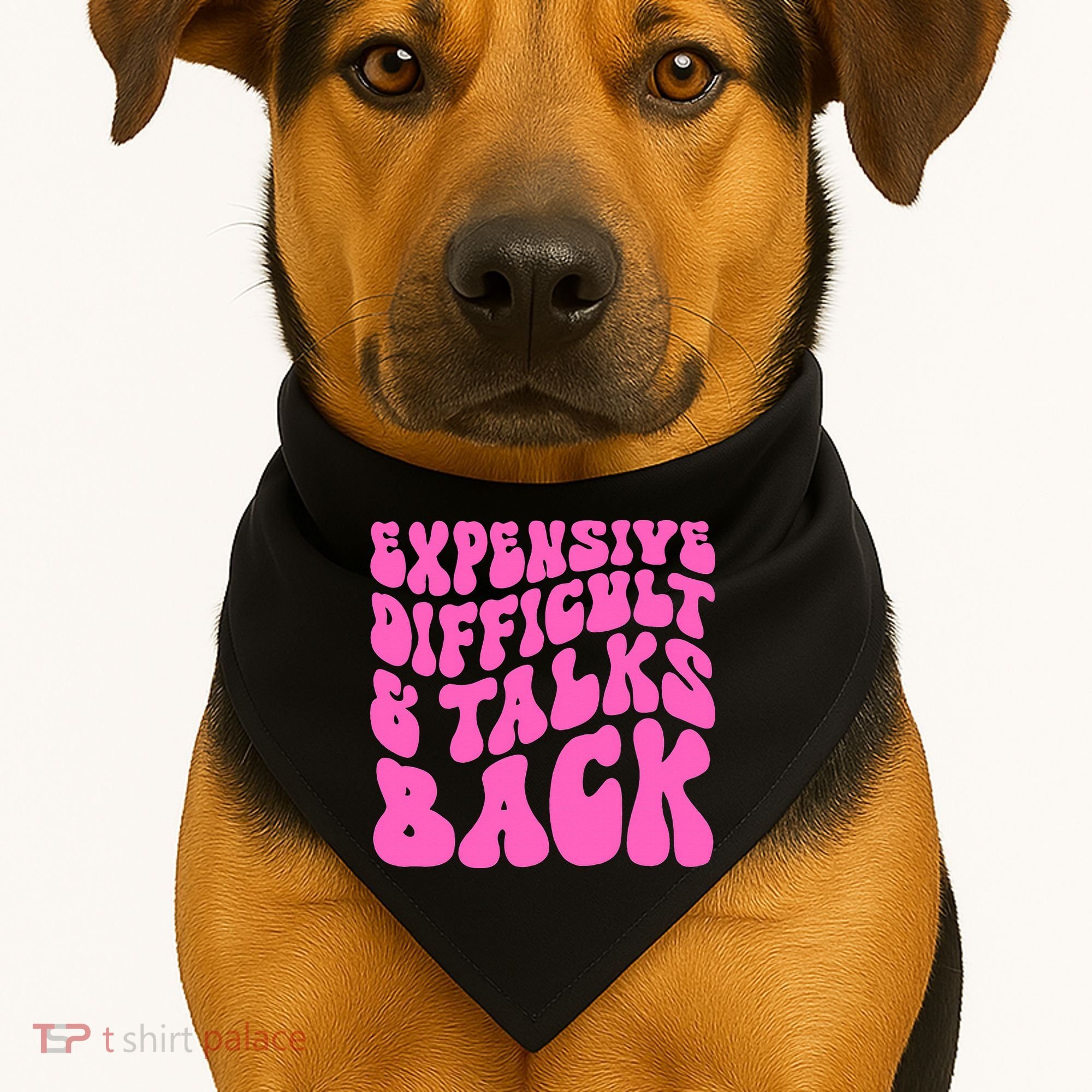 Expensive Difficult And Talks Back Retro USA-Made Doggie Bandana