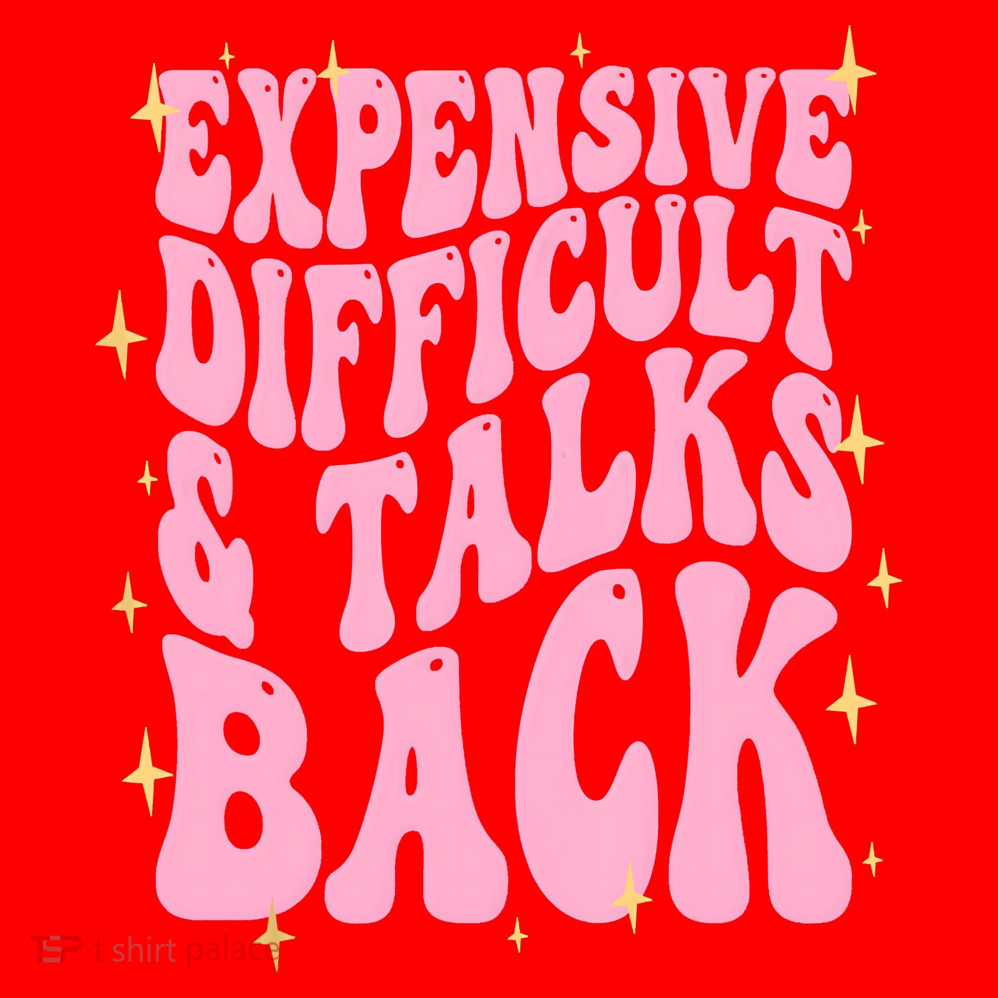 Expensive Difficult And Talks Back Santa Hat