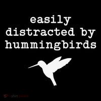 Easily Distracted by Hummingbirds Birds Lover Toddler T-Shirt thumb 4