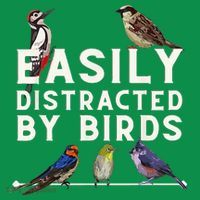 Easily Distracted By Birds Funny Bird Lover Birdwatching Toddler Hoodie thumb 2
