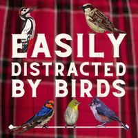 Easily Distracted By Birds Funny Bird Lover Birdwatching Women's Flannel Plaid Pajama Pants thumb 2