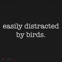 Easily Distracted By Birds Minimalist Birdwatching Birder Backpack thumb 2