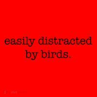 Easily Distracted By Birds Minimalist Birdwatching Birder Santa Hat thumb 1